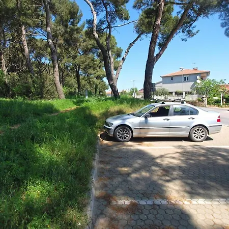 Apartment Fuer 4 Personen Ca 28 Qm In Pula, Istrien Istrische Riviera Pula